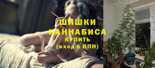 сатива Бронницы