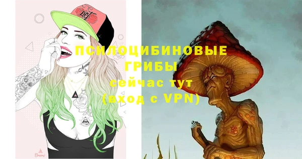 сатива Бронницы